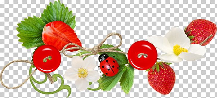 Strawberry Amorodo Photo-book PNG, Clipart, Auglis, Berry, Collage, Diet , Food Free PNG Download