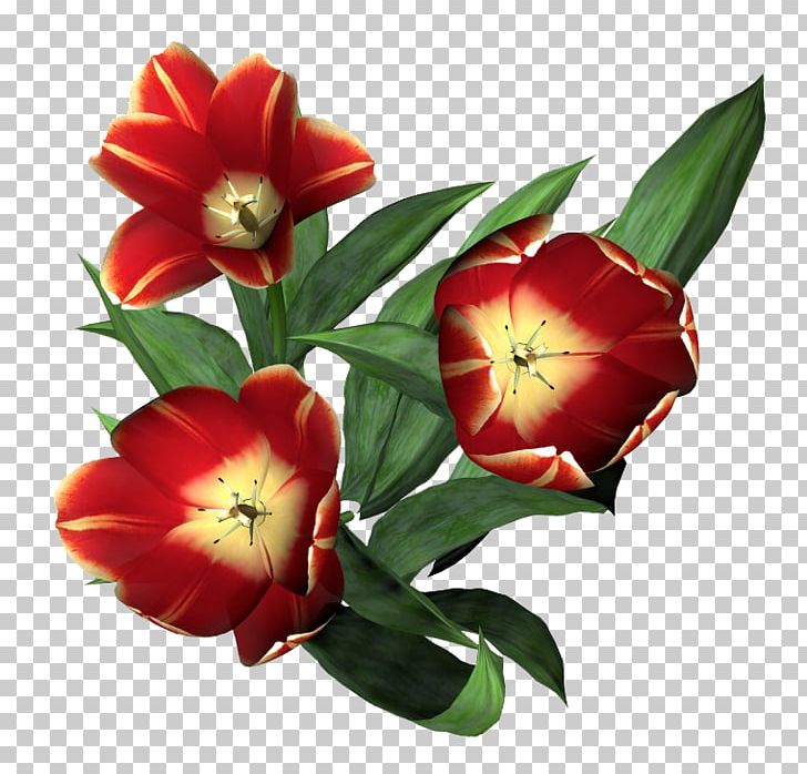 Tulip Flower Floral Design PNG, Clipart, Blume, Bouquet, Cut Flowers, Daffodil, Download Free PNG Download