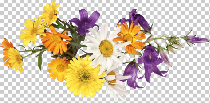Flower Border Flower Background Floral Line PNG, Clipart, Artificial Flower, Bouquet, Cut Flowers, Floral Line, Flower Free PNG Download