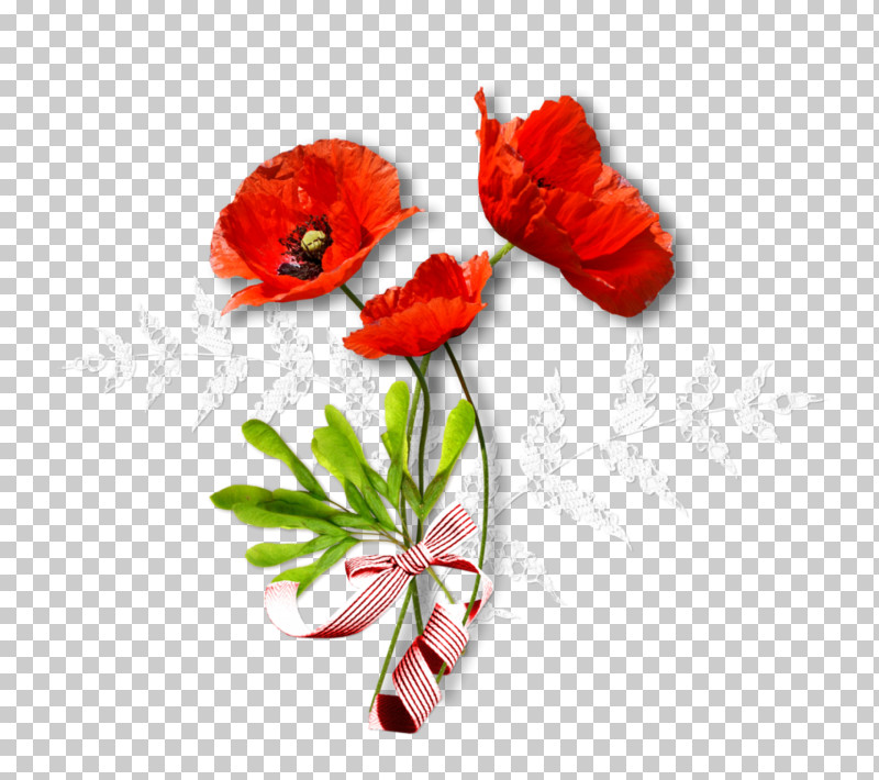 Flower Red Coquelicot Plant Corn Poppy PNG, Clipart, Anemone, Coquelicot, Corn Poppy, Cut Flowers, Flower Free PNG Download