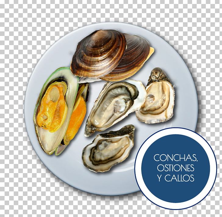 CLAM Latin American School Mexico Punto Del Mar Mussel Avenida Andrés Molina Enríquez PNG, Clipart, Animal Source Foods, Clam, Clams Oysters Mussels And Scallops, Com, Food Free PNG Download
