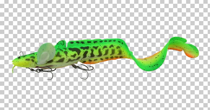 Muskellunge Northern Pike Fishing Baits & Lures Burbot PNG, Clipart, Amphibian, Angling, Bait, Burbot, Fauna Free PNG Download