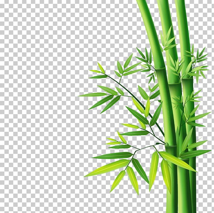 Bamboo PNG, Clipart, Bamboo, Bamboo 19 0 1, Bamboo Border, Bamboo Frame, Bamboo Leaf Free PNG Download