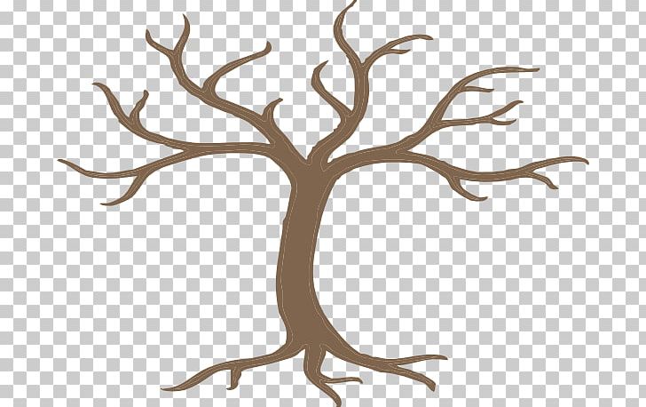 Branch Tree Root PNG, Clipart, Antler, Branch, Flower, Leaf, Line Free PNG Download