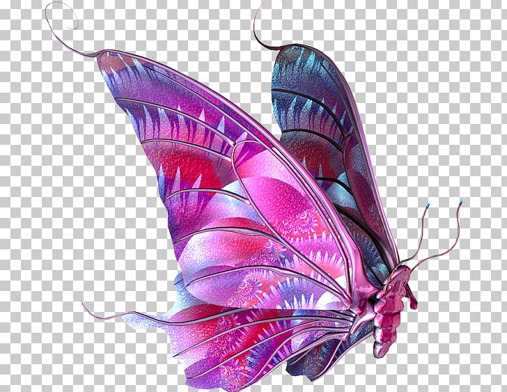 Butterfly PNG, Clipart, Blue Butterfly, Butterflies, Butterflies And Moths, Butterfly Group, Butterfly Png Free PNG Download