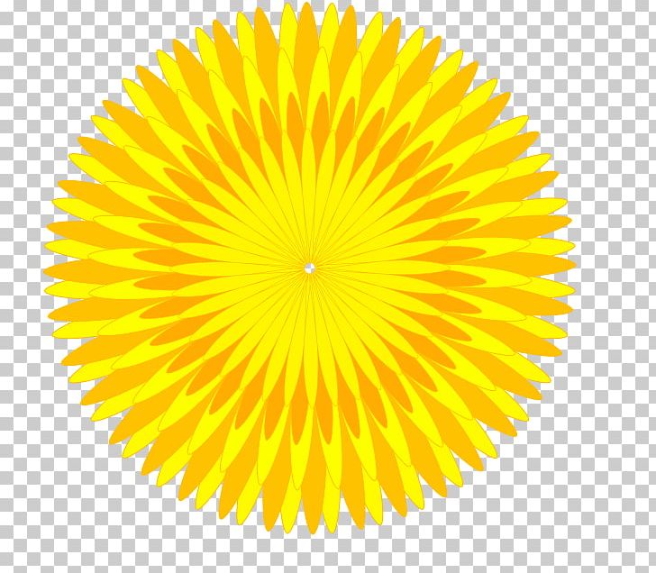 Common Dandelion Yellow PNG, Clipart, Art, Circle, Color, Common Dandelion, Dandelion Free PNG Download