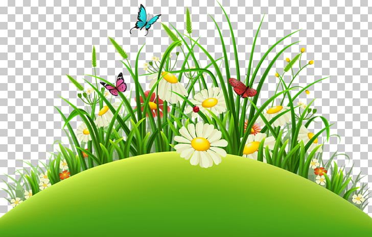 Photography PNG, Clipart, Butterfly, Can Stock Photo, Cimen Resimleri, Computer Wallpaper, Depositphotos Free PNG Download