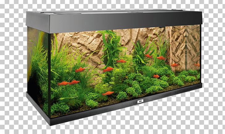 Clay Aquarium Rock Silicon Fish PNG, Clipart, Aquaristik Zentrum, Aquarium, Aquarium Decor, Aquatic Plant, Background Free PNG Download