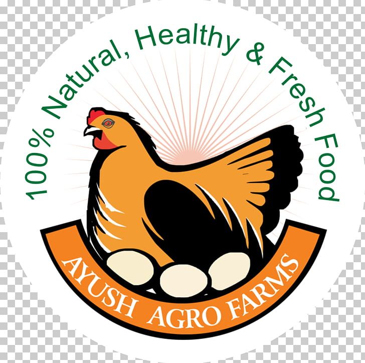 Food Asil Chicken Free-range Eggs Ayush Agro Farms PNG, Clipart, Agribusiness, Area, Artwork, Asil Chicken, Beak Free PNG Download