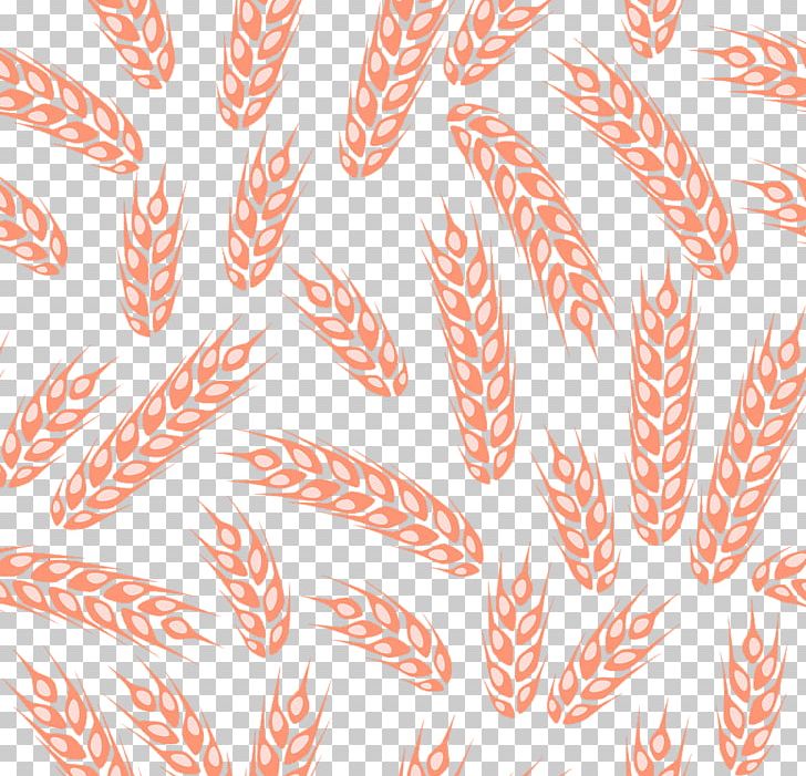 Wheat Shading PNG, Clipart, Corn, Designer, Download, Ear, Ears Free PNG Download