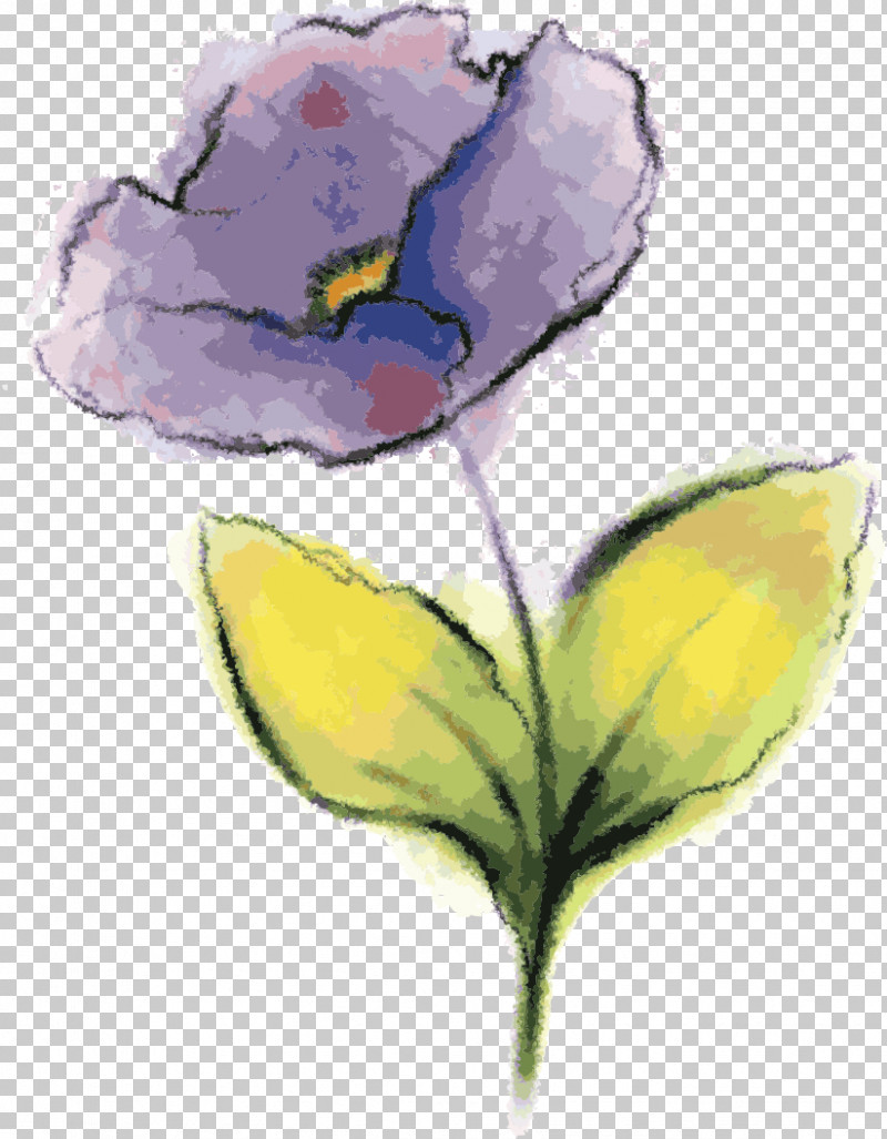 Flower Yellow Plant Petal Watercolor Paint PNG, Clipart, Cut Flowers, Drawing Flower, Floral Drawing, Flower, Iris Free PNG Download