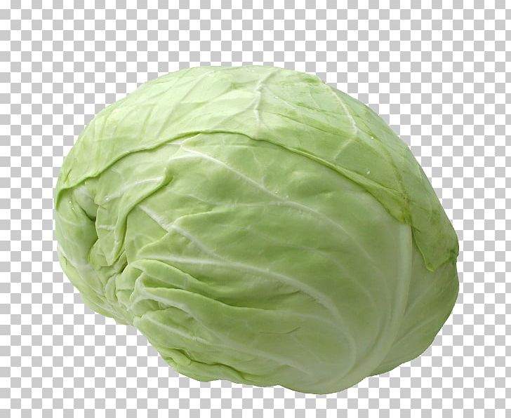 Cruciferous Vegetables Capitata Group Collard Greens Savoy Cabbage Spring Greens PNG, Clipart, Brassica Oleracea, Cabbage, Capitata Group, Chanda, Collard Greens Free PNG Download