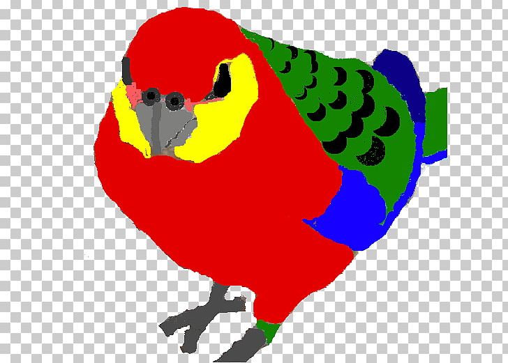 Macaw Loriini Parakeet Beak PNG, Clipart, Artwork, Beak, Bird, Common Pet Parakeet, Fauna Free PNG Download