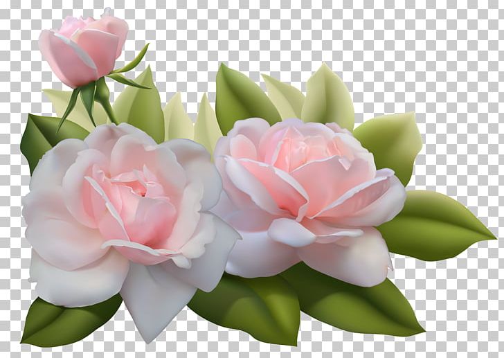 Rose Pink PNG, Clipart, Art, Artificial Flower, Blue Rose, Clip Art, Clipart Free PNG Download