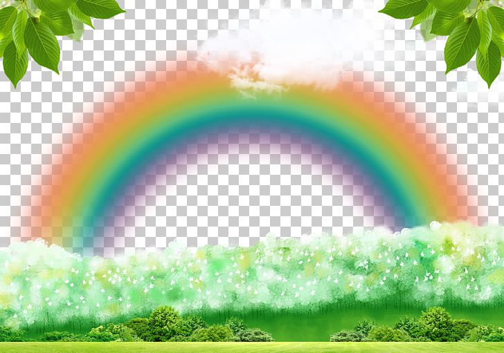 Forest Green Forest Green Rainbow PNG, Clipart, Background Green, Background Vector, Christmas Decoration, Computer Wallpaper, Daytime Free PNG Download