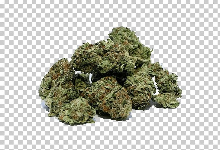Legality Of Cannabis Medical Cannabis Legalization Cannabis Smoking PNG, Clipart, Cannabidiol, Cannabis, Cannabis Smoking, Canopy Growth Corporation, Decriminalization Free PNG Download