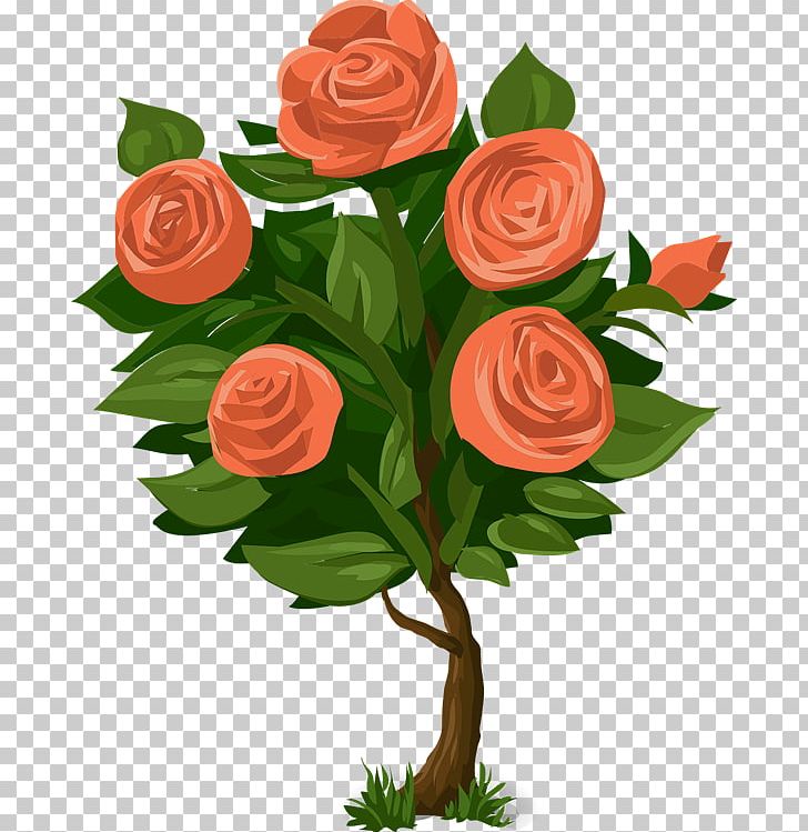Rose Plant Shrub Flower PNG, Clipart, Beautiful Plant Cliparts, Cut Flowers, Drawing, Floral Design, Floristry Free PNG Download