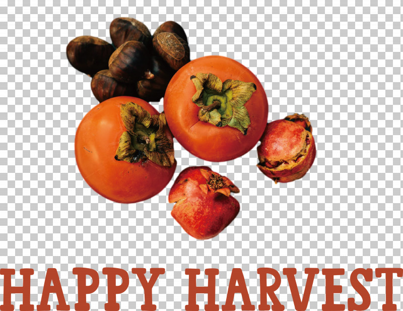 Happy Harvest Harvest Time PNG, Clipart, Drawing, Fruit, Happy Harvest, Harvest Time, Juice Free PNG Download