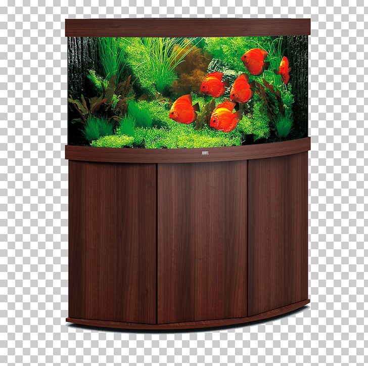 Aquarium Filters Aquarium Lighting Heater Discus PNG, Clipart, Aquarium, Aquarium Filters, Aquarium Lighting, Aquatic Plants, Cichlid Free PNG Download