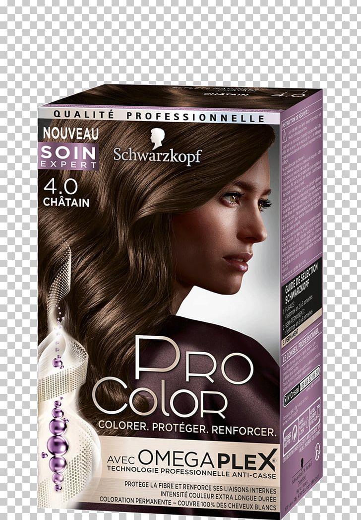 Hair Coloring Schwarzkopf Black Hair Human Hair Color PNG, Clipart, Black Hair, Brown, Brown Hair, Clairol, Color Free PNG Download