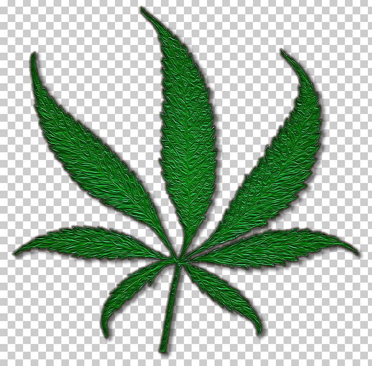 Medical Cannabis Marijuana Joint Cannabis Sativa PNG, Clipart, Bong, Cannabis, Cannabis Sativa, Cannabis Shop, Cannabis Smoking Free PNG Download