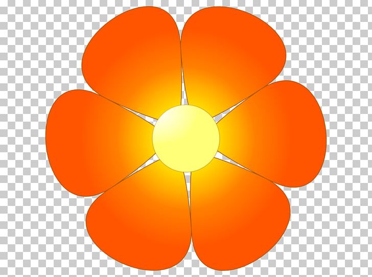 Orange Blossom Flower PNG, Clipart, Blossom, Circle, Clip Art, Computer Wallpaper, Drawing Free PNG Download