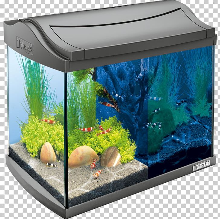 Siamese Fighting Fish Tetra Nano Aquarium Innenfilter PNG, Clipart, Air Pump, Animal, Aquarium, Aquarium , Aquarium Decor Free PNG Download