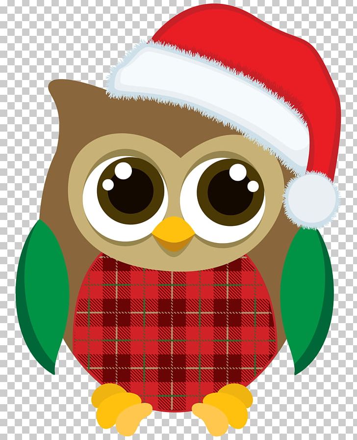 Christmas Graphics Owl Christmas Christmas Day PNG, Clipart, Animals, Animation, Beak, Bird, Bird Of Prey Free PNG Download