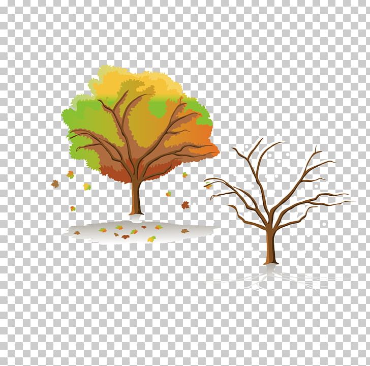 Four Seasons Hotels And Resorts Tree PNG, Clipart, Autumn Leaves, Autumn Vector, Branch, Christmas Tree, Defoliation Free PNG Download