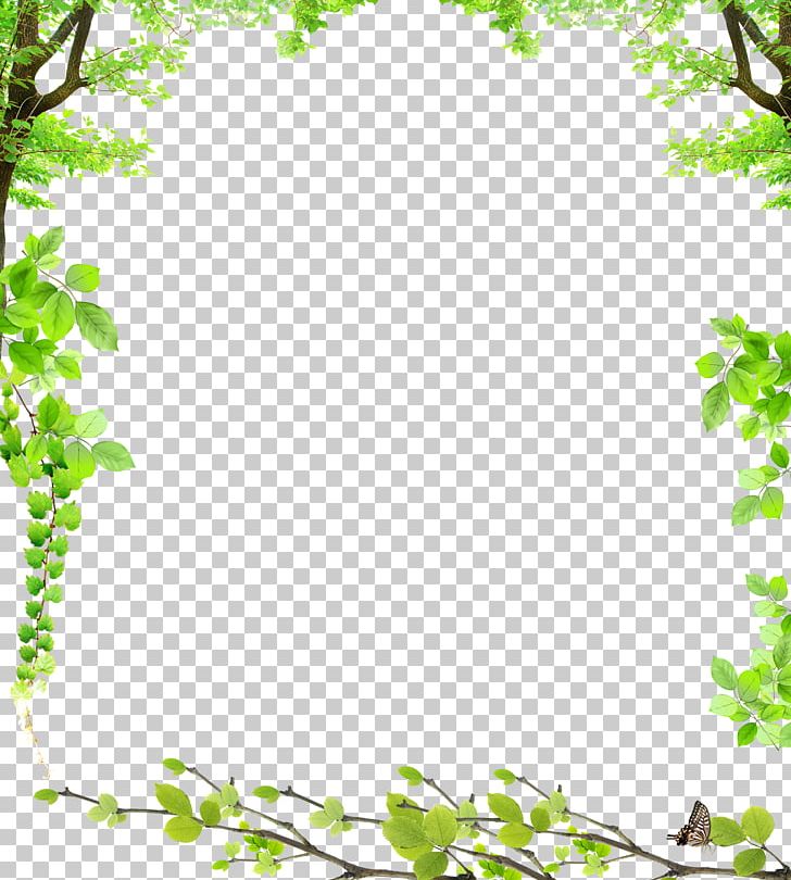 Frame Film Frame PNG, Clipart, Background Green, Border, Branch, Branches, Cropping Free PNG Download