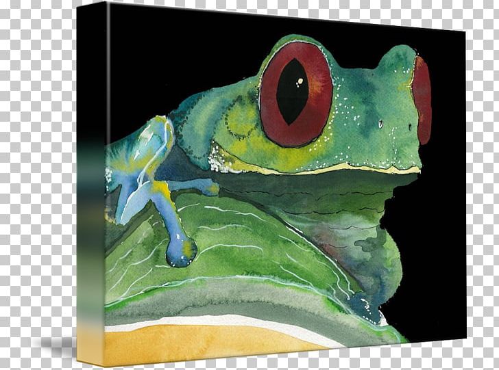 Tree Frog True Frog PNG, Clipart, Amphibian, Animals, Frog, Organism, Ranidae Free PNG Download