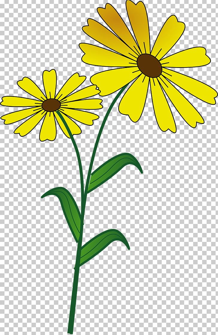 Herbaceous Plant Leaf Presentation PNG, Clipart, Artwork, Black And White, Common Daisy, Cut Flowers, Daisy Free PNG Download