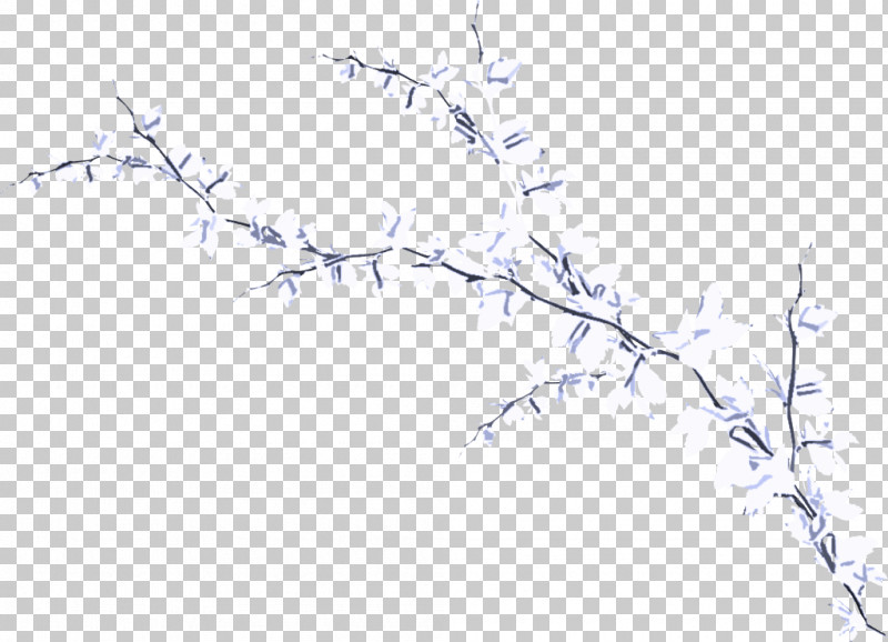 Branch Twig Tree Plant Plant Stem PNG, Clipart, Branch, Plant, Plant Stem, Tree, Twig Free PNG Download