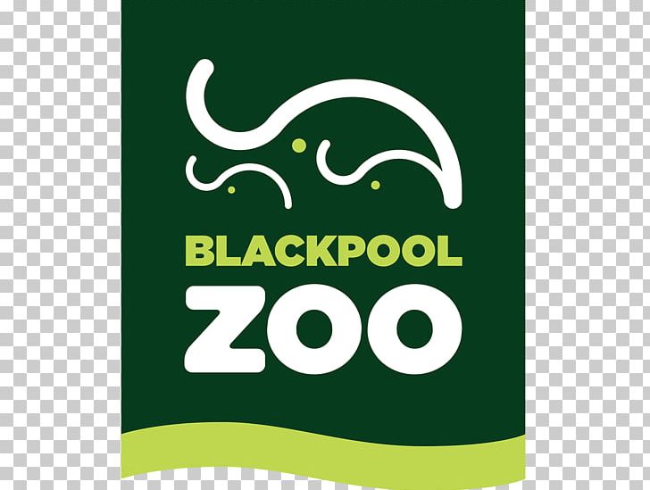 Blackpool Zoo Asian Elephant Tourist Attraction British And Irish Association Of Zoos And Aquariums PNG, Clipart, Adult, Advertising, Area, Asian Elephant, Banner Free PNG Download