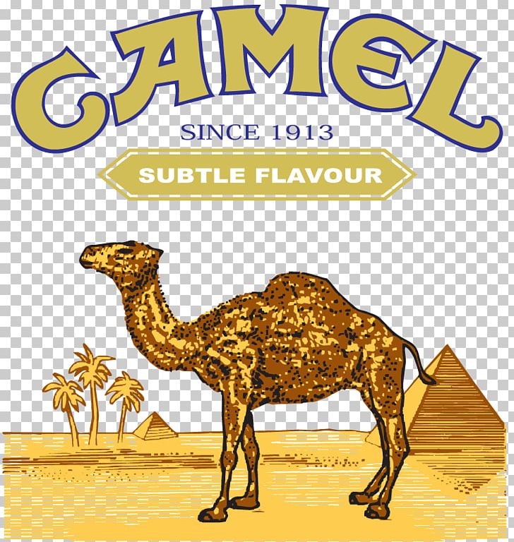Dromedary Bactrian Camel Logo PNG, Clipart, Animals, Arabian Camel, Bactrian Camel, Brand, Camel Free PNG Download
