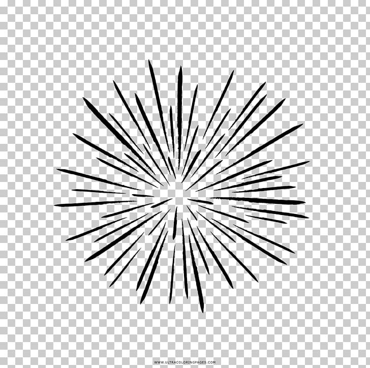 Black And White Drawing Fireworks PNG, Clipart, Black And White, Circle, Coloring Book, Drawing, Fire Free PNG Download