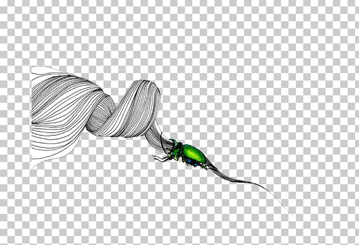 Insect White PNG, Clipart, Abstract Lines, Animals, Button, Creative Work, Curved Lines Free PNG Download