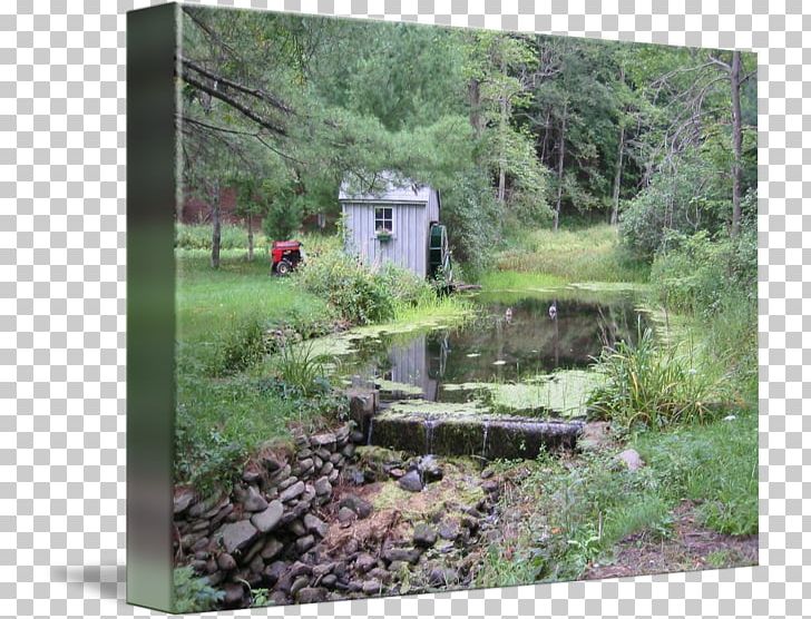 Water Resources Nature Reserve Woodland Pond Landscaping PNG, Clipart, Cottage, Forest, House, Lacustrine Plain, Land Lot Free PNG Download