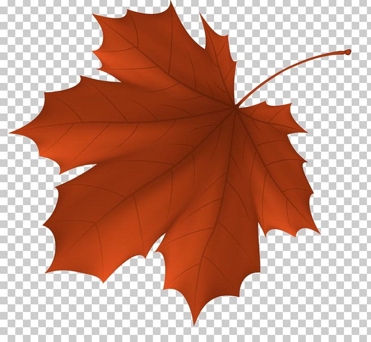 Autumn Leaf Color Maple Leaf PNG, Clipart, Autumn, Autumn Leaf Color, Color, Dry Season, Green Free PNG Download