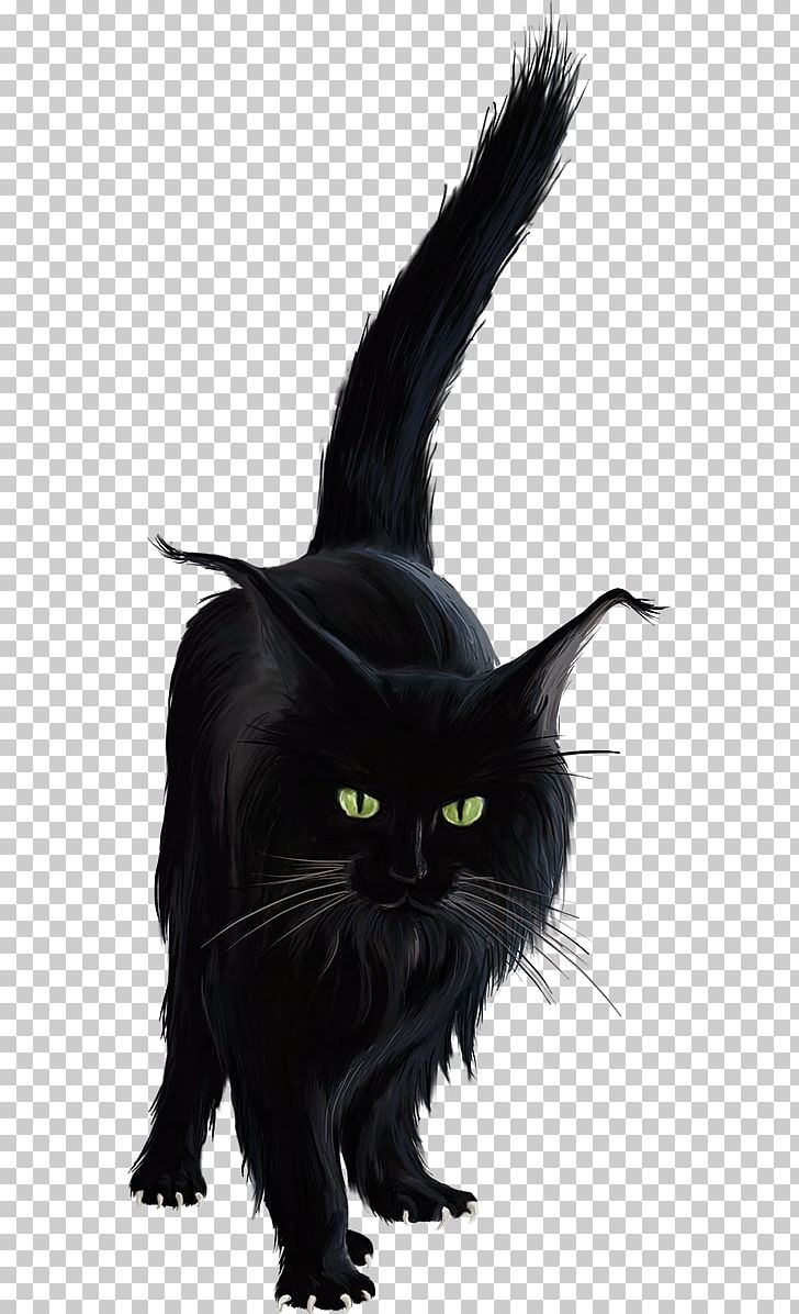 Bombay Cat Black Cat Norwegian Forest Cat Kitten PNG, Clipart, Anim, Animal, Animals, Black, Carnivoran Free PNG Download