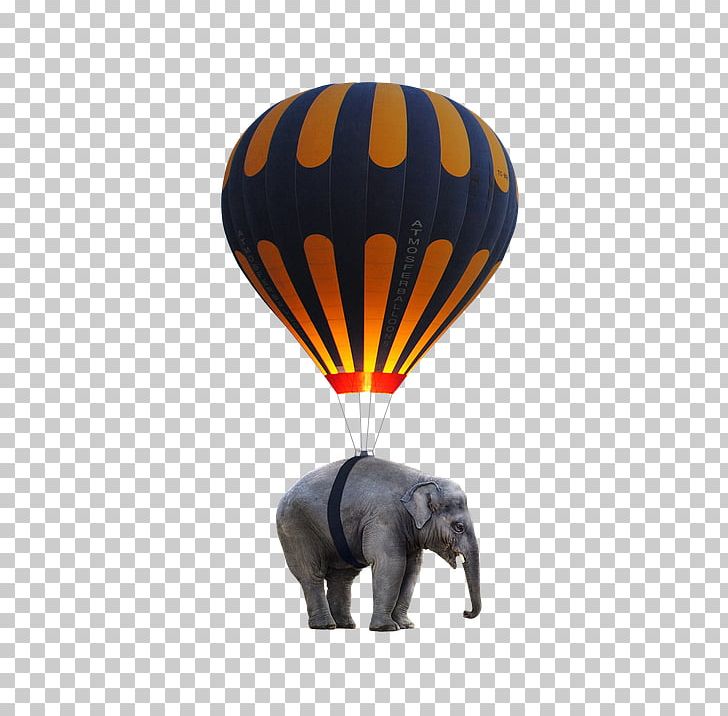 Hot Air Ballooning Elephants Toy Balloon PNG, Clipart, Balloon, Cheval, Elephant, Elephants, Elephants And Mammoths Free PNG Download