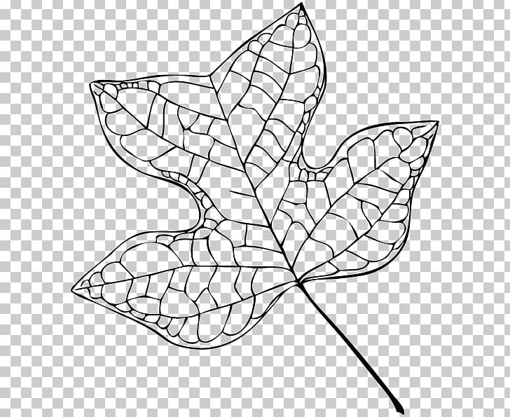 Liriodendron Tulipifera Tree Leaf Drawing PNG, Clipart, Angle, Area, Art, Artwork, Black And White Free PNG Download