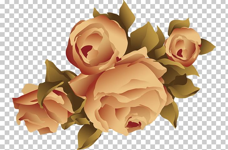 Garden Roses Beach Rose Flower Adobe Illustrator PNG, Clipart, Art, Border Frame, Designer, Elements, Elements Vector Free PNG Download