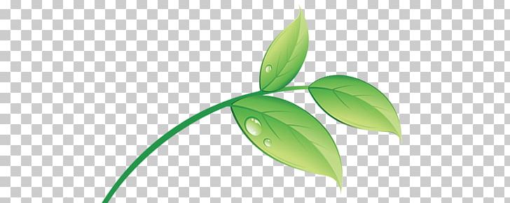 Leaf PNG, Clipart, Bubble, Bubble Tea, Food, Green, Health Free PNG Download