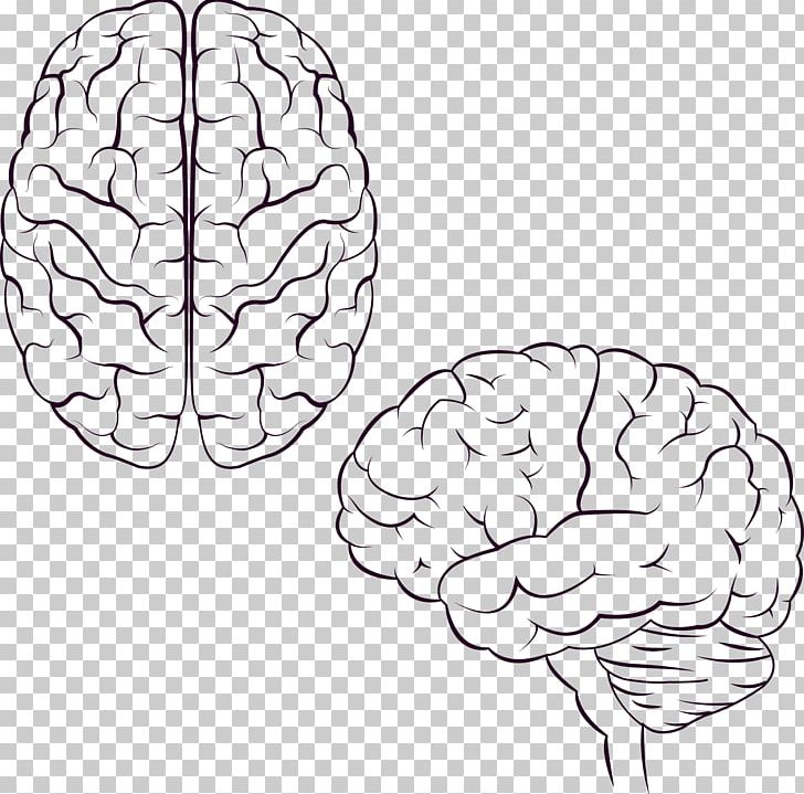 Brain Icon Design Icon PNG, Clipart, Area, Black, Black And White, Brains Vector, Cerebrum Free PNG Download