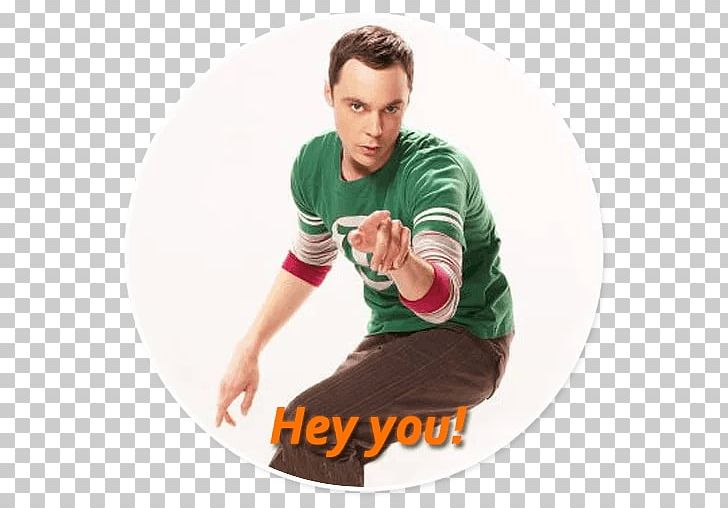 Sheldon Cooper The Big Bang Theory Jim Parsons The Friendship Algorithm ...
