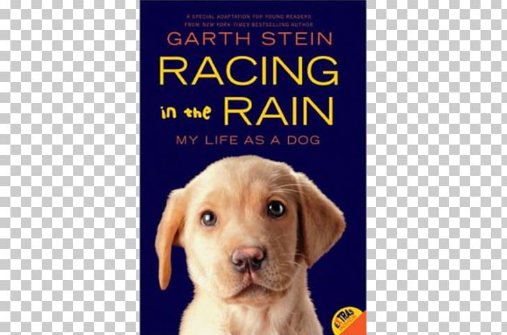 The Art Of Racing In The Rain Racing In The Rain: My Life As A Dog Enzo Races In The Rain! Enzo And The Christmas Tree Hunt! A Sudden Light PNG, Clipart, Author, Book, Bookselling, Carnivoran, Companion Dog Free PNG Download
