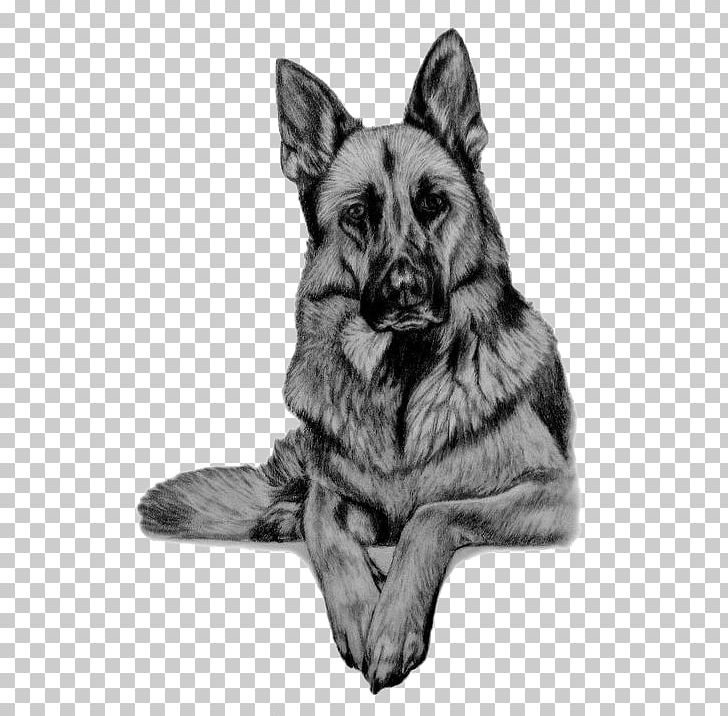 German Shepherd King Shepherd Shiloh Shepherd Dog Kunming Wolfdog Dog Breed PNG, Clipart, Animals, Back, Black, Breed Group Dog, Carnivoran Free PNG Download