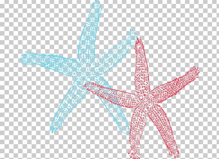 Starfish PNG, Clipart, Animals, Art, Blog, Echinoderm, Invertebrate Free PNG Download