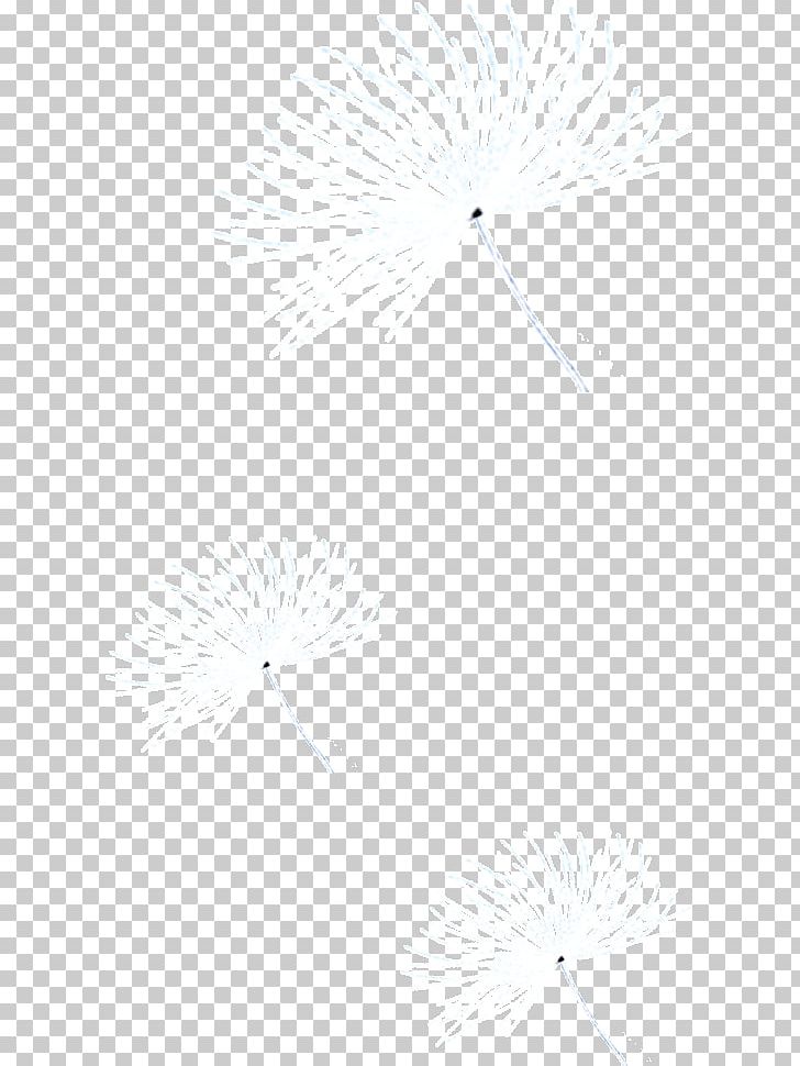 White Black Angle Pattern PNG, Clipart, Angle, Black, Black And White, Black Angle, Circle Free PNG Download
